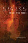 Picture of Sparks from the Fire
