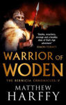 Picture of Warrior of Woden