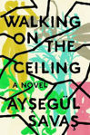 Picture of Walking On The Ceiling