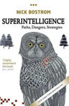 Picture of Superintelligence: Paths, Dangers, Strategies