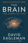 Picture of The Brain: The Story of You