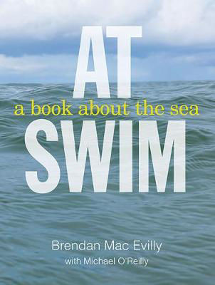 Picture of At Swim: A Book About the Sea