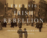 Picture of 1916 IRISH REBELLION