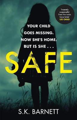 Picture of Safe