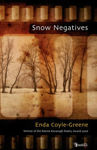 Picture of Snow Negatives