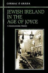 Picture of Jewish Ireland in the Age of Joyce: A Socioeconomic History