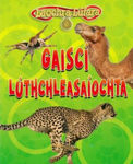 Picture of Gaiscí Lúthchleasaíochta