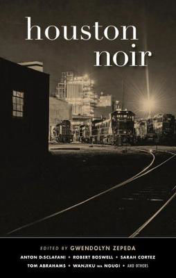 Picture of Houston Noir