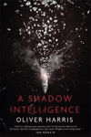 Picture of Shadow Intelligence