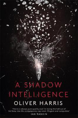 Picture of Shadow Intelligence