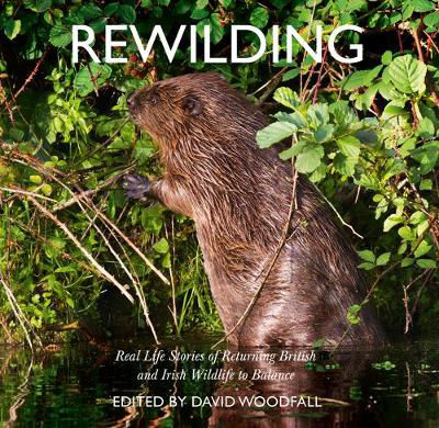 Picture of Rewilding: Real Life Stories of Returning British and Irish Wildlife to Balance