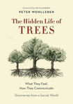 Picture of The Hidden Life of Trees: What They Feel, How They Communicate-Discoveries from a Secret World