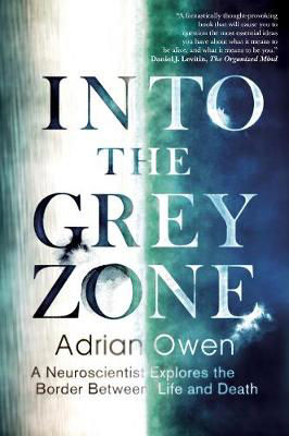 Picture of Into The Grey Zone