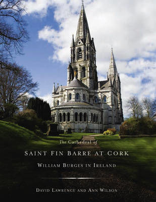Picture of Cathedral Saint Fin Barre At Cork