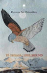 Picture of Spellbound : Fe Gheasa