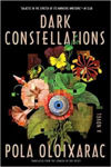 Picture of Dark Constellations