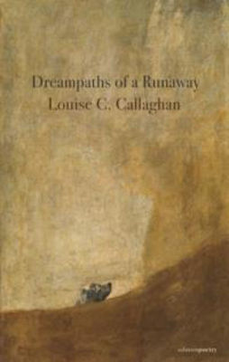 Picture of Dreampaths of a Runaway