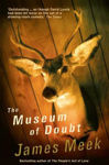 Picture of MUSEUM OF DOUBT