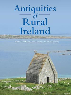 Picture of Antiquities Of Rural Ireland