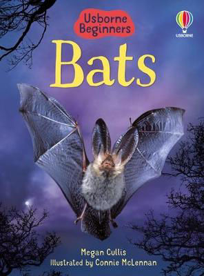 Picture of Bats