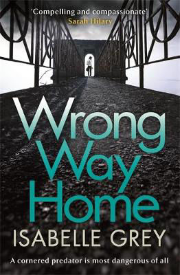 Picture of Wrong Way Home: Sunday Times Crime Book of the Month
