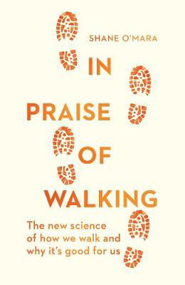 Picture of In Praise of Walking - TCD Professor of Experimental Brain Research