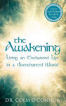Picture of The Awakening: Living an Enchanted Life in a Disenchanted World