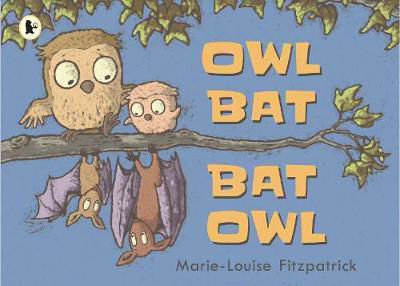Picture of Owl Bat Bat Owl