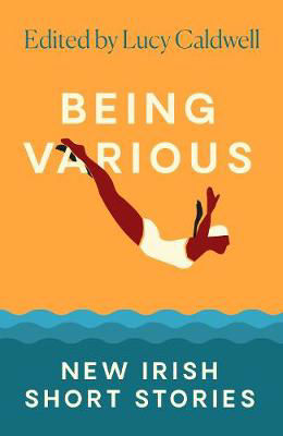 Picture of Being Various: New Irish Short Stories