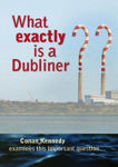 Picture of What Exactly Is A Dubliner?