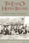 Picture of The End of Hidden Ireland: Rebellion, Famine, and Emigration