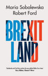 Picture of Brexitland: Identity, Diversity and the Reshaping of British Politics
