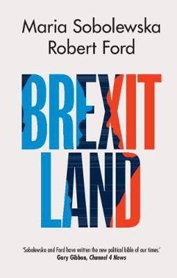 Picture of Brexitland: Identity, Diversity and the Reshaping of British Politics