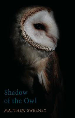 Picture of Shadow of the Owl