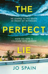 Picture of Perfect Lie