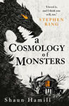 Picture of cosmology of monsters