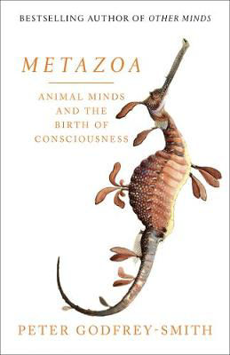 Picture of Metazoa: The Evolution Of Animals, Minds, Consciousness And Sleep **EXP