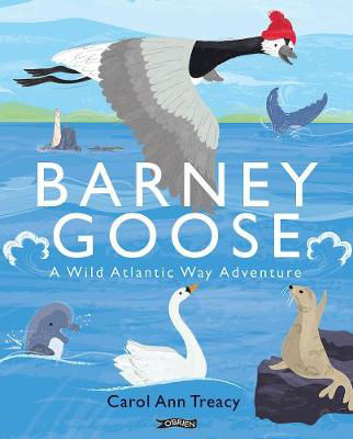 Picture of Barney Goose: A Wild Atlantic Way Adventure