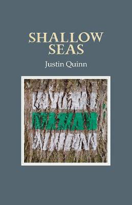 Picture of Shallow Seas