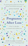 Picture of Pregnancy After Loss: A day-by-day plan to reassure and comfort you