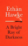 Picture of Bright Ray of Darkness