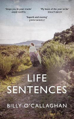 Picture of Life Sentences