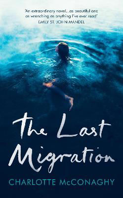 Picture of The Last Migration