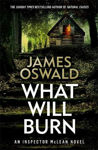 Picture of What Will Burn