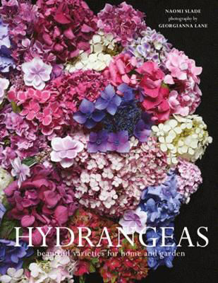 Picture of Hydrangeas: Beautiful varieties for home and garden