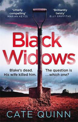 Picture of Black Widows