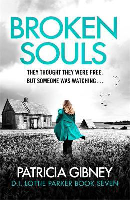 Picture of Broken Souls: An absolutely addictive mystery thriller with a brilliant twist