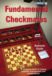 Picture of Fundamental Checkmates