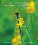 Picture of The Natural History Of Ireland's Dragonflies