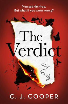 Picture of The Verdict